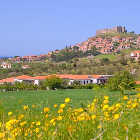 Elea Houses Mithimna Buitenkant foto